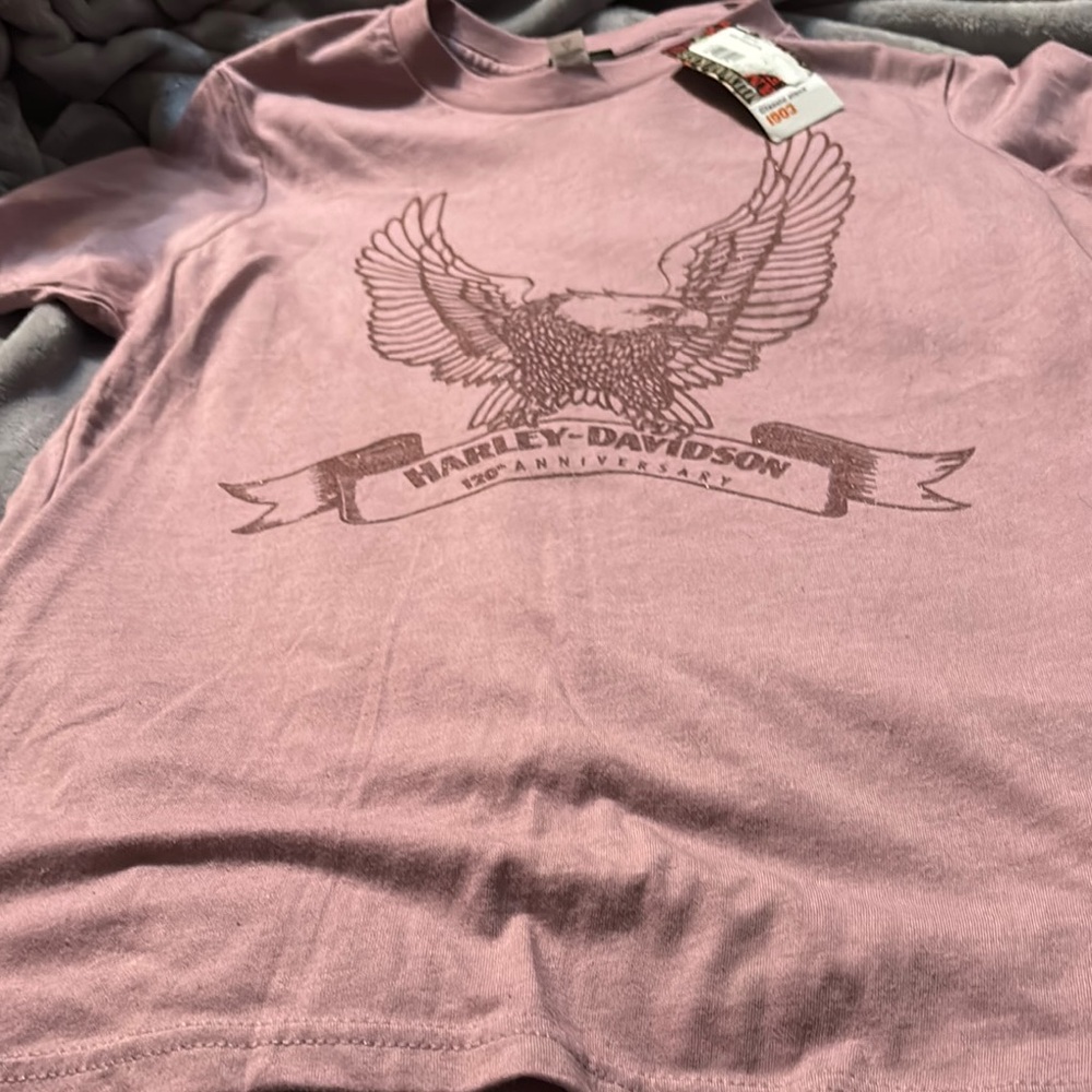 Harley-Davidson Mauve Eagle Graphic Tee